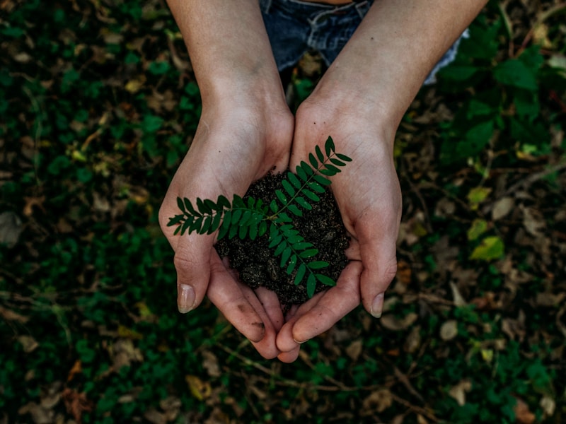 Eco-friendly lifestyle products