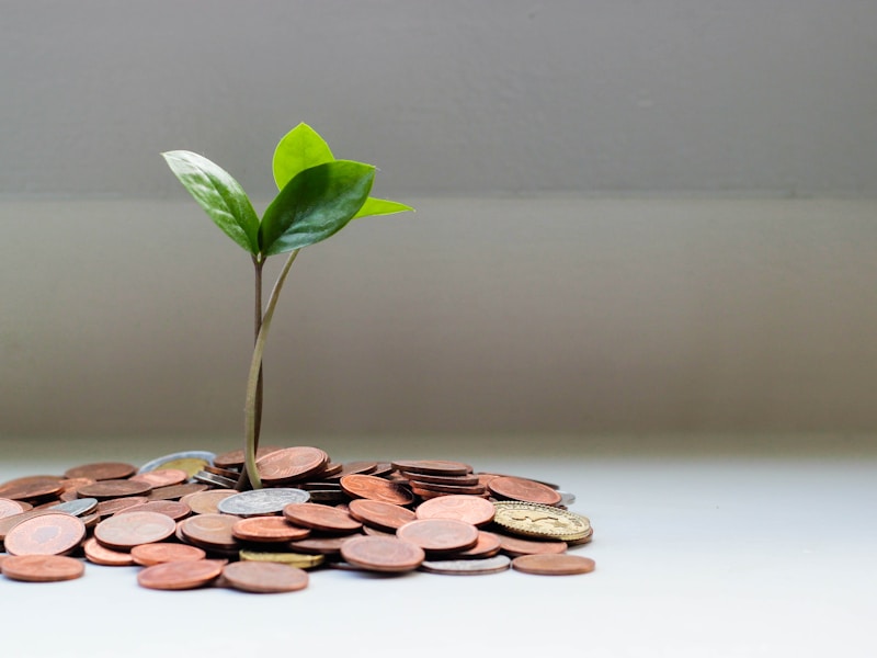 Investment and finance concepts